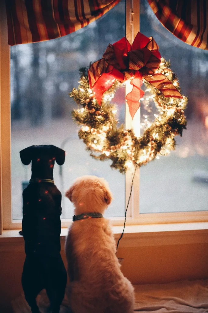 10 Dog & Cat Christmas Gift Ideas Currently on Sale
